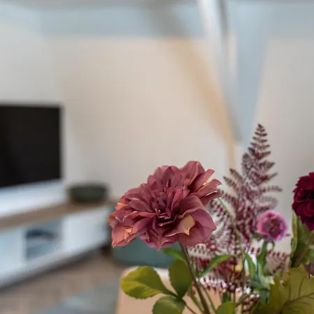Unique Penthouse Near Center And Park Apartman
