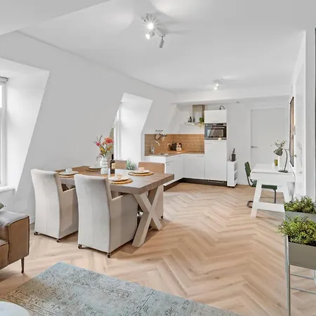 Unique Penthouse Near Center And Park Appartement