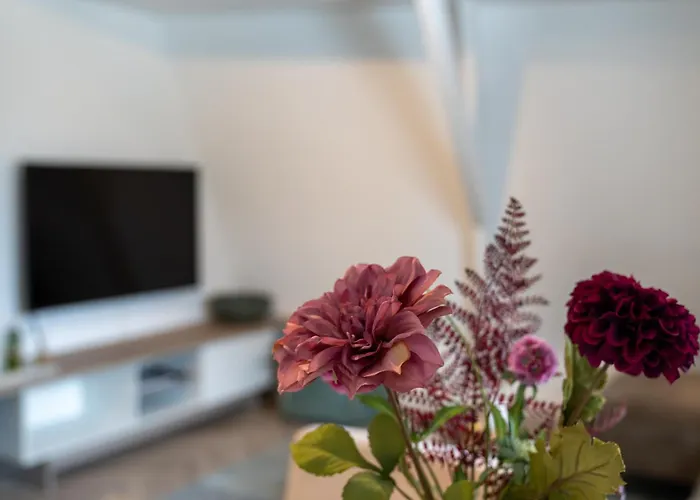 Unique Penthouse Near Center And Park Apartment