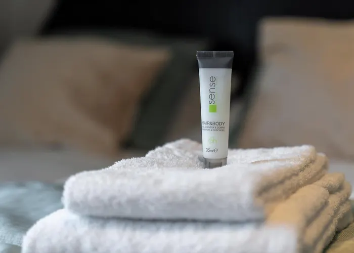 Unique Penthouse Near Center And Park Apartment *